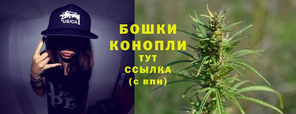 метадон Белокуриха