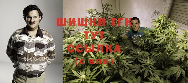 PSILOCYBIN Богородицк
