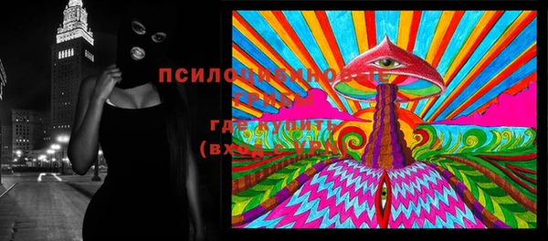 метадон Белокуриха