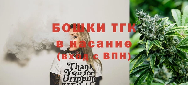 PSILOCYBIN Богородицк