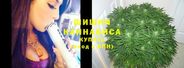 метадон Белокуриха
